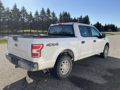 Used 2019 FORD F150 Pickup Trucks Michigan US | Miedema Asset Management Group #1568246