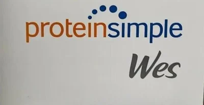 USED PROTEINSIMPLE WES