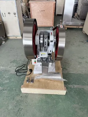 NEW 2025 Wenming WM-YP-6T