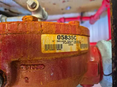 Containerized Foam Fire Suppression System w/ Deluge Valve, Potter Controls & Piping Manifold