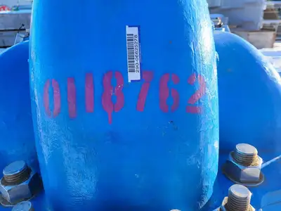 CENTURION Series Horizontal Split Case Pump C94781