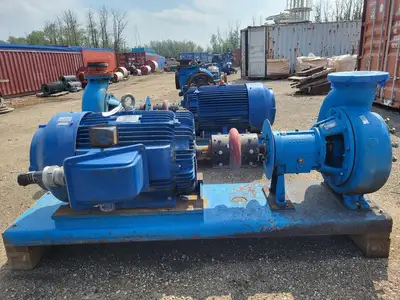 USED GOULDS 3196