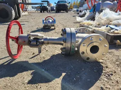3" Class 900 Globe Valve B16.34