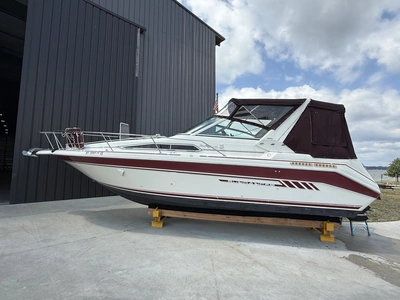 Used 1993 SEA RAY SUNDANCER 290 Boats (Misc) Michigan US | Miedema Asset Management Group #1340461
