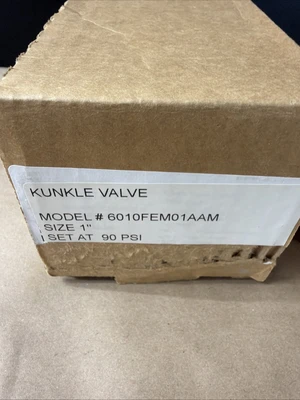New Kunkle Valve 6010FEM01AAM Size 1" 90 psi Warranty 🇺🇸