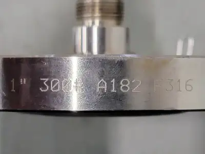 USED SWAGELOK SS-1610-F16-300