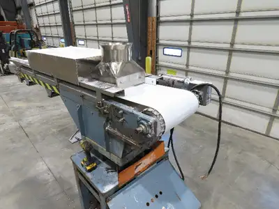 Proctor & Schwartz Hydraulic Powered Swivel Arm Feed Conveyor Food Processing