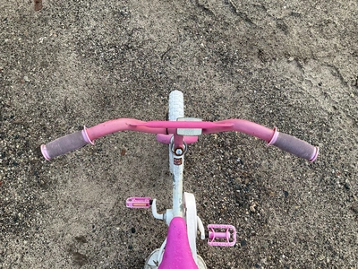 Used _UNKNOWN_ _UNKNOWN_ Bicycles Michigan US | Miedema Asset Management Group #1413668