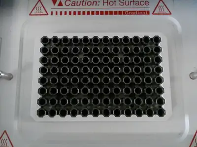 Used _UNKNOWN_ _UNKNOWN_ Thermal Processing Systems California US | R&D Laboratory Equipment #796941