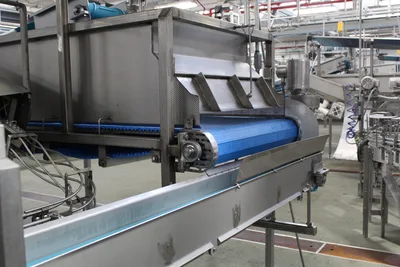 Hopper Feed Conveyor