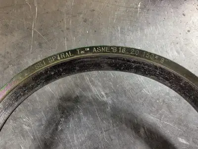 8" 150 CG Gasket