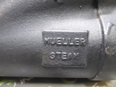 Mueller Steam Steam Strainer 250 SWP 1/4" Plugs Used