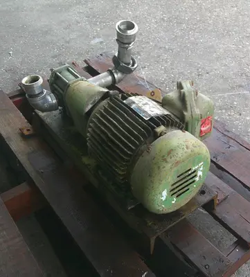 SPC9319  Pump 1.5" inlet positive displacement pump 2 hp, Stainless Steel