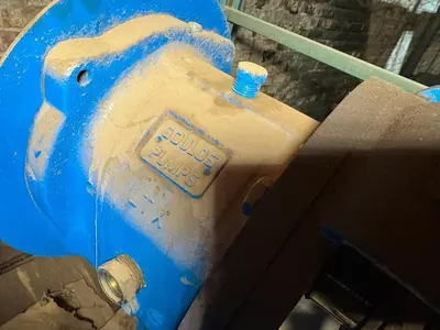 USED GOULDS 3196