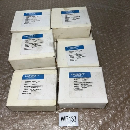 NEW Ashcroft 25W1005