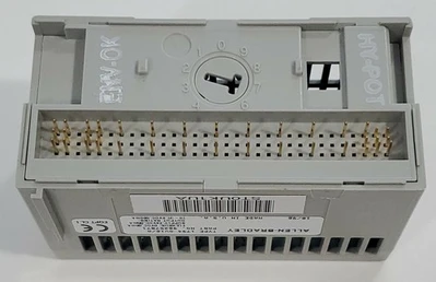 NEW Allen-Bradley 1794-0V16