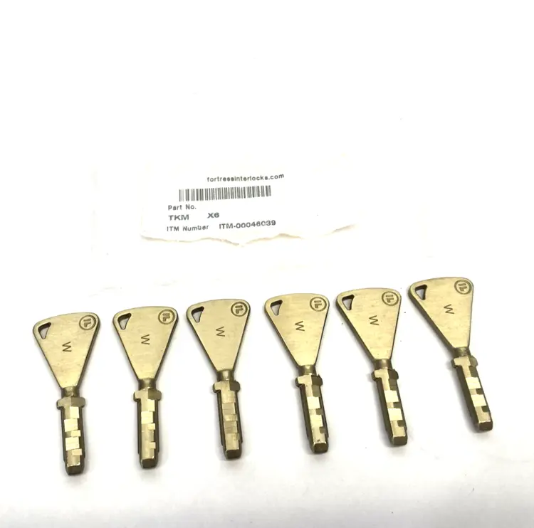 New | in-Stock Fortress Interlocks tGard Master Key ITM-00046039 LOT OF 6 Safety Products (Other) Michigan US | Maverick Industrial Sales #1393246