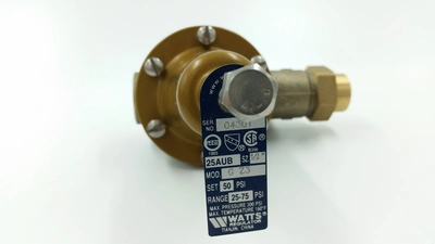 Watts Integral Bypass & Stainless Steel Strainer G Z3