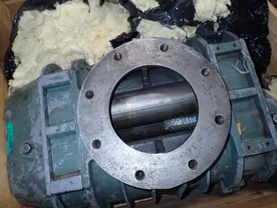 Rotary Positive Displacement Blower