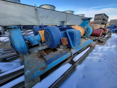 USED GOULDS 3196