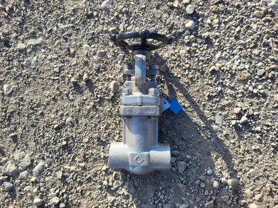 1" Class 800 Globe Valve API 602