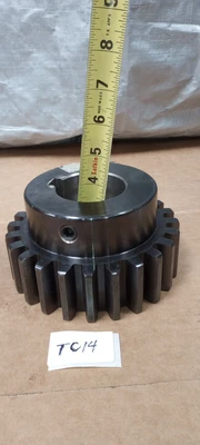 NEW Martin External Tooth Spur Gear