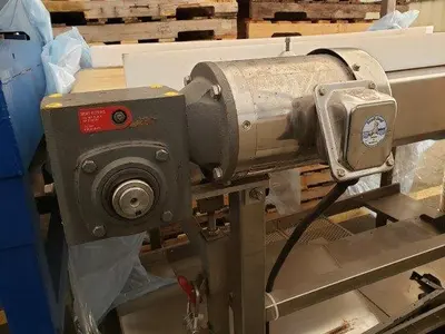 7' Berry Inspection Conveyor