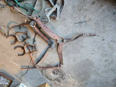 Vintage Western Saddle and Tack Set including Saddle, Stirrups, Reins, and Rope