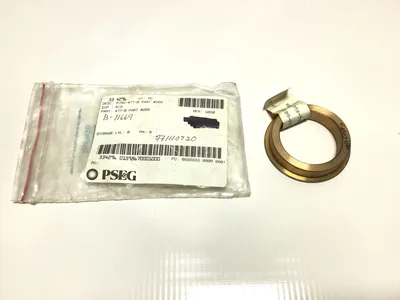 PSEG 477-B Part # 268 Ring Seal