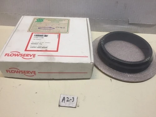 NEW FLOWSERVE 110111GE / 84340306