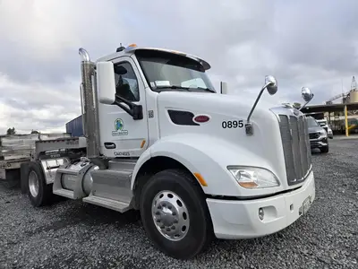 Used 2017 PETERBILT 579 Tractors & Trailers California US | Ben Kaplan Equipment #1181324