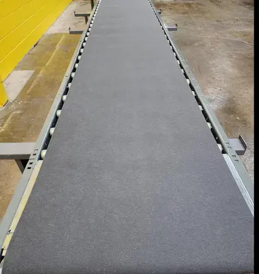 Used INTELLIGRATED ROLLER BED BELT CONVEYOR Belt Conveyors Wisconsin US | Packer City Sales #1301772