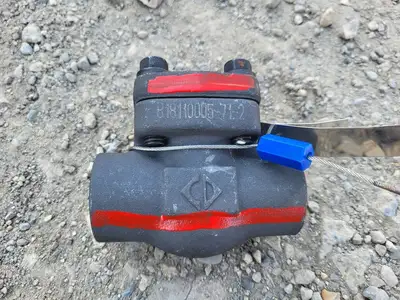 1" Class 800 Check Valve API 602