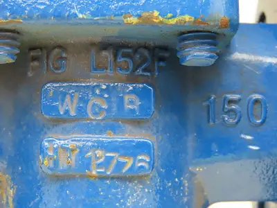 Fluoro Seal L152F Sleeved Plug Valve 1" Flanged 4-Bolt Raised Face Class 150 WCB