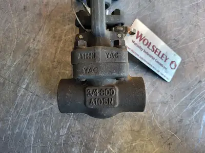 3/4" Class 800 Gate Valve B16.34