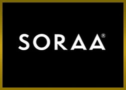 WEBCAST - State of the Art LED Lighting Manufacturer