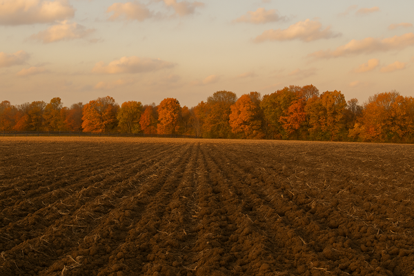 County Equipment Company LLC