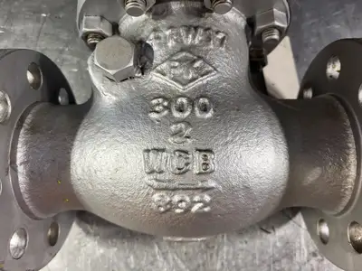 NEW PK VALVE 302RF8