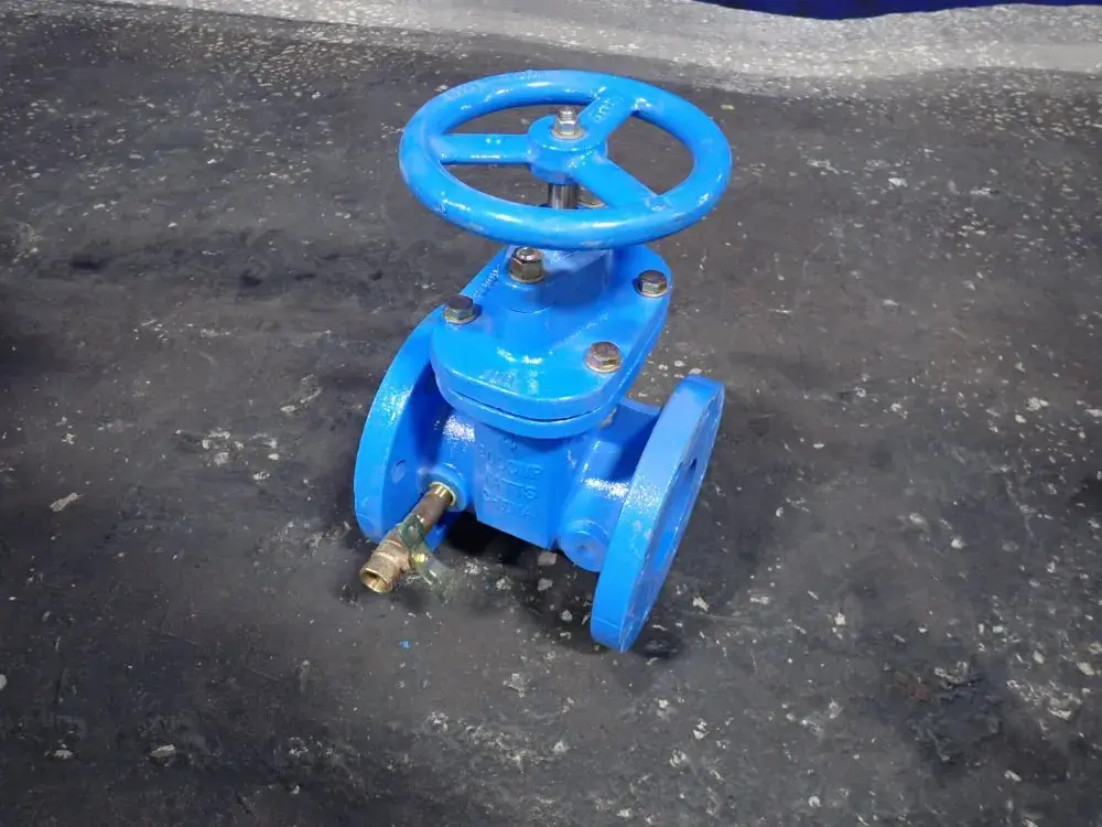 Gate Valve