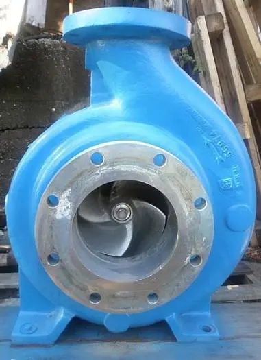 Goulds 3175 6x8x14 Pump (SS)