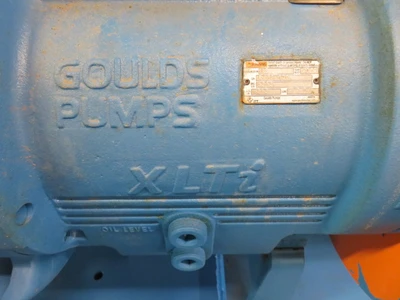 USED Goulds 3196 XLTi