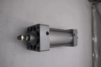 NEW Festo DSNA-N-2 1/2"-4-PPVA-N5-MP2 Standard Cylinder STOCK 5656
