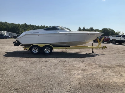 Used 1986 SEA RAY PACHANGA Boats (Misc) Michigan US | Miedema Asset Management Group #1337404