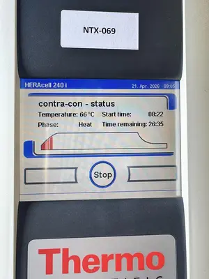 USED THERMO HERACELL 240 I GP DOUBLE STACK INCUBATOR AMBIENT +3° TO 55°C