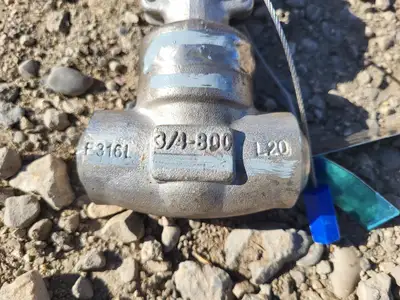 3/4" Class 800 Globe Valve API 602