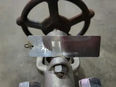 2" Class 800 Globe Valve B16.34