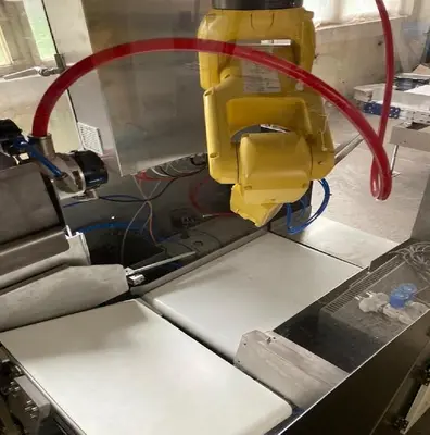 Used 2023 KRAPCO CASEPA 150 Robotic Case Packers CZ | Amaron s.r.o. #1064999