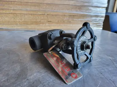 3/4" Class 800 Gate Valve B16.34
