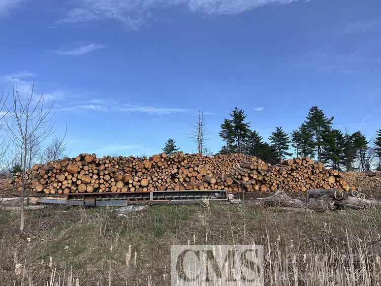 Used COMPLETE SHAVING MILL OPERATION WITH LAND, DRYING & BAGGING LINE NEWMAN, BMM, MEC, WEBB, RETHCEIF, CAT Woodworking Complete Operations North Carolina US | CAROLINA MACHINERY SALES #1269536