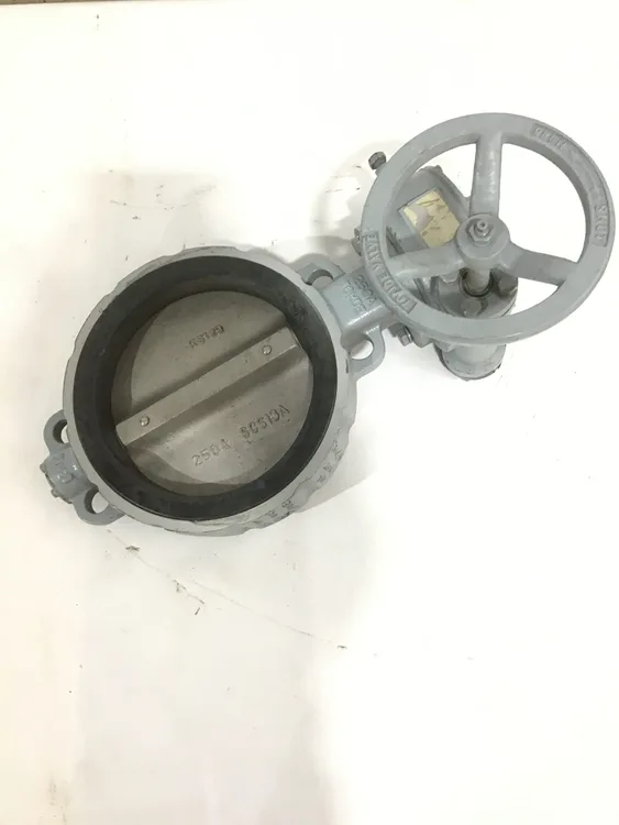 Used TOMOE _UNKNOWN_ Valves/Fittings Pennsylvania US | Moses B Glick #989734